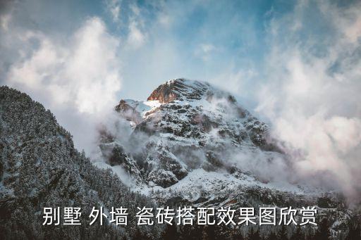 别墅 外墙 瓷砖搭配效果图欣赏