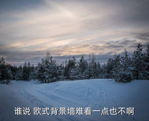 谁说 欧式背景墙难看一点也不啊
