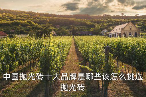 中国抛光砖十大品牌是哪些该怎么挑选抛光砖