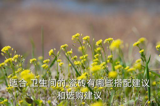 适合 卫生间的 瓷砖有哪些搭配建议和选购建议