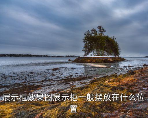 展示柜效果图展示柜一般摆放在什么位置