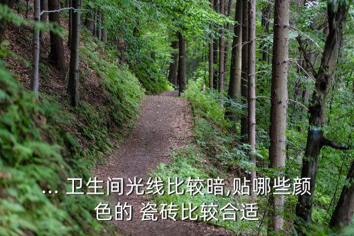 ... 卫生间光线比较暗,贴哪些颜色的 瓷砖比较合适