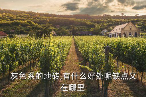  灰色系的地砖,有什么好处呢缺点又在哪里