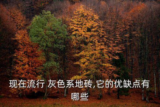 瓷砖黑灰色通铺效果图,黑灰色卫生间瓷砖效果图