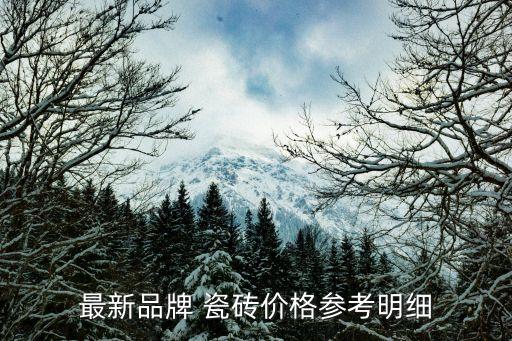最新品牌 瓷砖价格参考明细