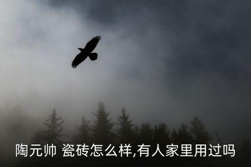 甄子丹代言瓷砖品牌,唐国强代言的瓷砖品牌