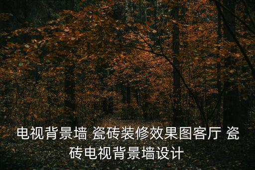 电视背景墙 瓷砖装修效果图客厅 瓷砖电视背景墙设计