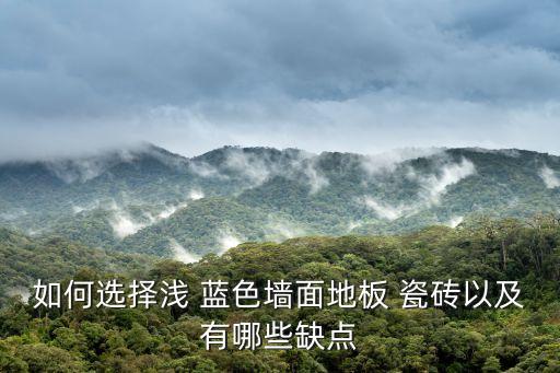 如何选择浅 蓝色墙面地板 瓷砖以及有哪些缺点