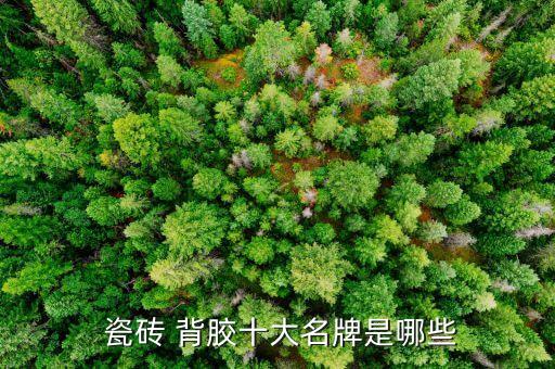  瓷砖 背胶十大名牌是哪些
