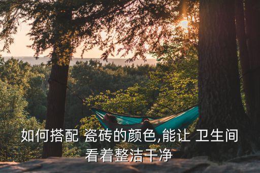 如何搭配 瓷砖的颜色,能让 卫生间看着整洁干净