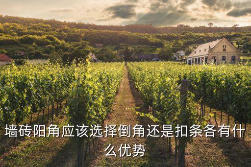 墙砖阳角应该选择倒角还是扣条各有什么优势