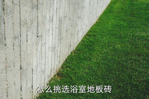 怎么挑选浴室地板砖