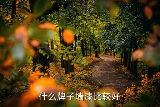 什么牌子墙漆比较好