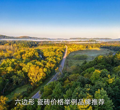 六边形 瓷砖价格举例品牌推荐