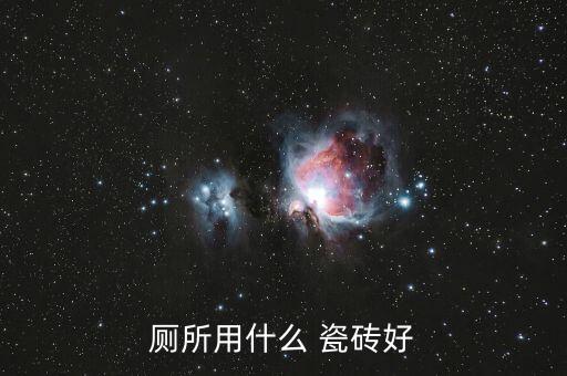 卫生间入口瓷砖图片,最新款卫生间瓷砖图片