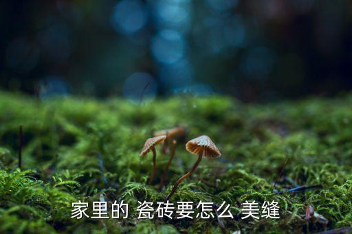 家里的 瓷砖要怎么 美缝
