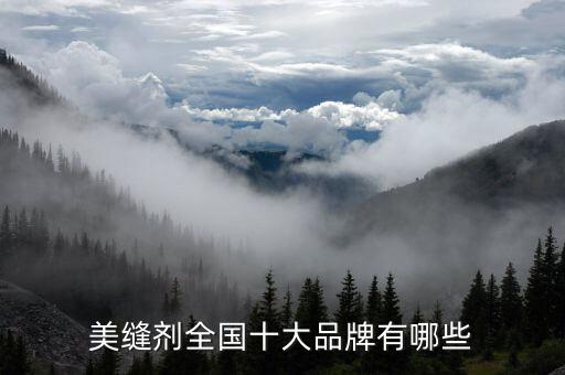 美缝剂全国十大品牌有哪些