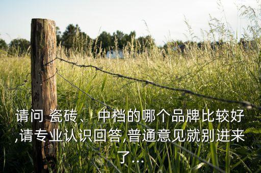 请问 瓷砖、 中档的哪个品牌比较好,请专业认识回答,普通意见就别进来了...