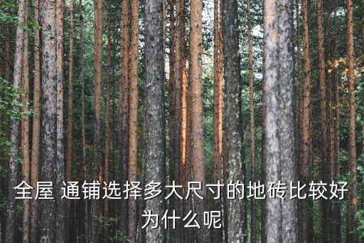 全屋 通铺选择多大尺寸的地砖比较好为什么呢