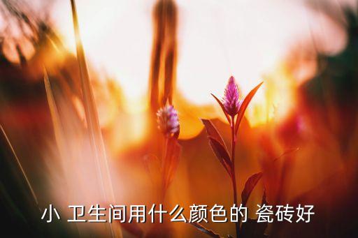 小 卫生间用什么颜色的 瓷砖好