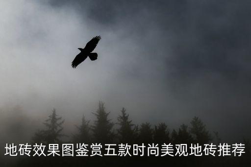地砖效果图鉴赏五款时尚美观地砖推荐