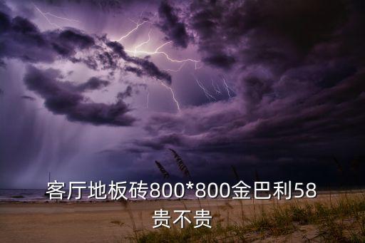 客厅地板砖800*800金巴利58贵不贵