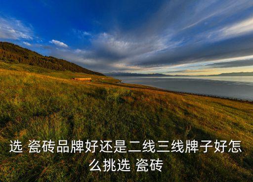 选 瓷砖品牌好还是二线三线牌子好怎么挑选 瓷砖