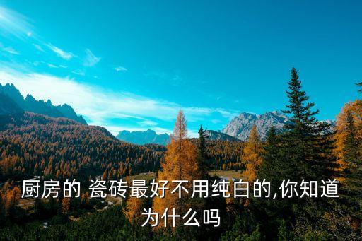 厨房的 瓷砖最好不用纯白的,你知道为什么吗