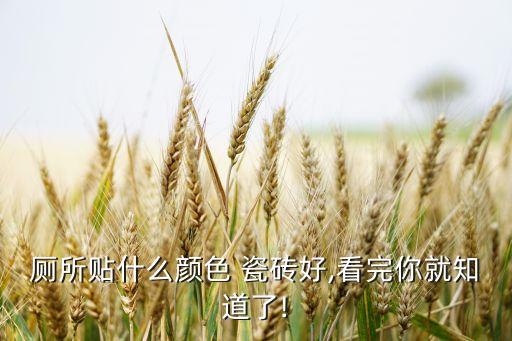 厕所贴什么颜色 瓷砖好,看完你就知道了!