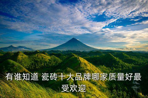 有谁知道 瓷砖十大品牌哪家质量好最受欢迎