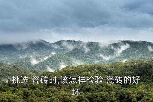 挑选 瓷砖时,该怎样检验 瓷砖的好坏