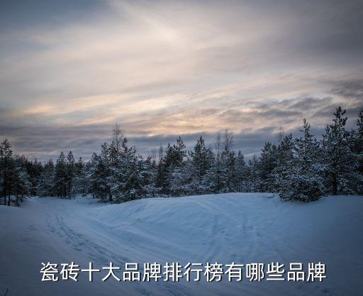佰利瓷砖几线品牌,sun瓷砖线是几线品牌