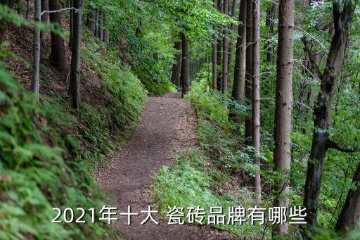 长城瓷砖算几线品牌