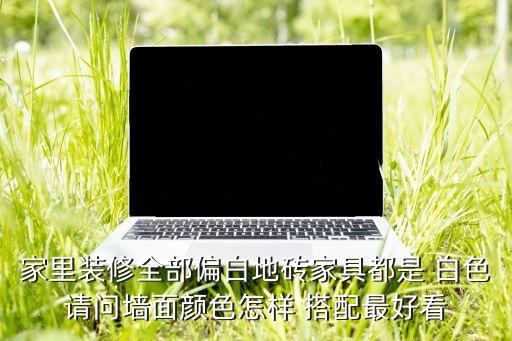 家里装修全部偏白地砖家具都是 白色请问墙面颜色怎样 搭配最好看