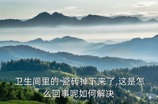  卫生间里的 瓷砖掉下来了,这是怎么回事呢如何解决