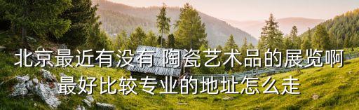 北京最近有没有 陶瓷艺术品的展览啊最好比较专业的地址怎么走