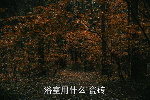 卫生间防水品牌瓷砖