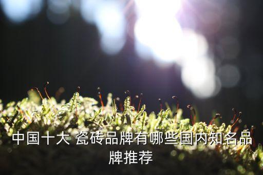 瓷砖门店品牌有哪些牌子,瓷砖排名前50的品牌有哪些