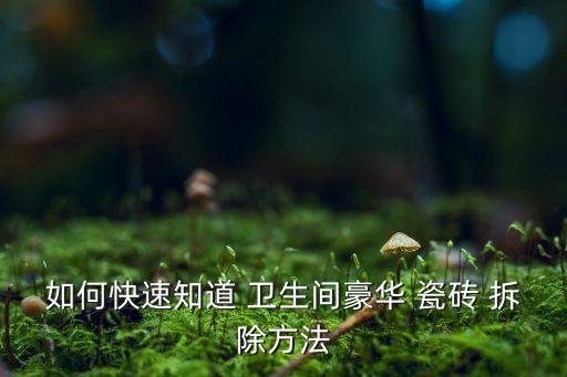 卫生间防水瓷砖怎么拆除