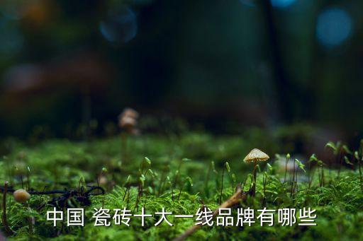 中国 瓷砖十大一线品牌有哪些