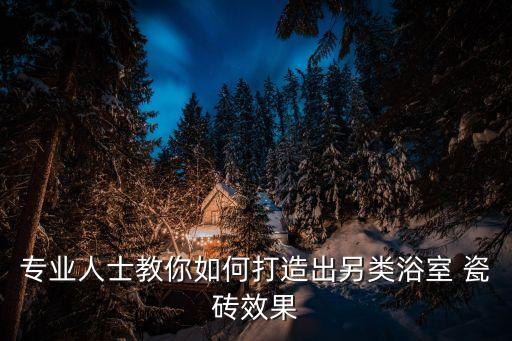专业人士教你如何打造出另类浴室 瓷砖效果