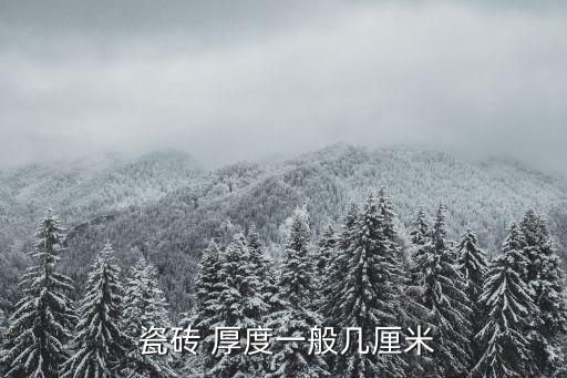  瓷砖 厚度一般几厘米