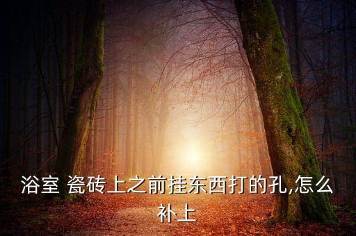 浴室 瓷砖上之前挂东西打的孔,怎么补上