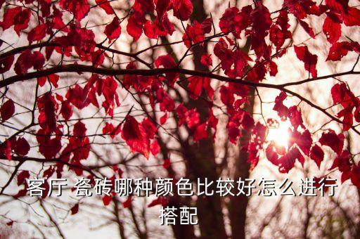  客厅 瓷砖哪种颜色比较好怎么进行搭配
