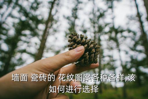墙面 瓷砖的 花纹图案各种各样,该如何进行选择