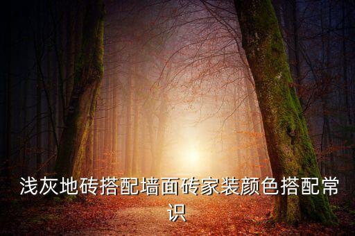 浅灰素色瓷砖卫生间上墙,素色瓷砖好还是浅灰好