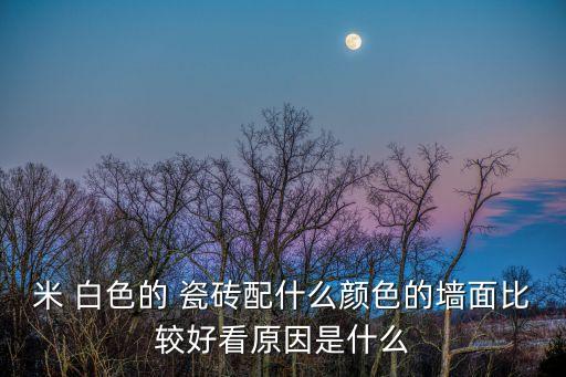 米 白色的 瓷砖配什么颜色的墙面比较好看原因是什么