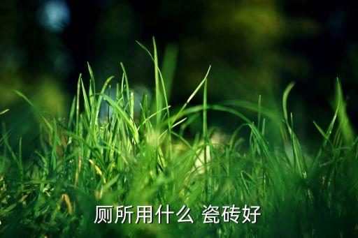 卫生间瓷砖铺装图片,最新款卫生间瓷砖图片