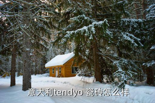  意大利tendyo 瓷砖怎么样