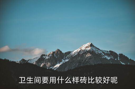  卫生间要用什么样砖比较好呢